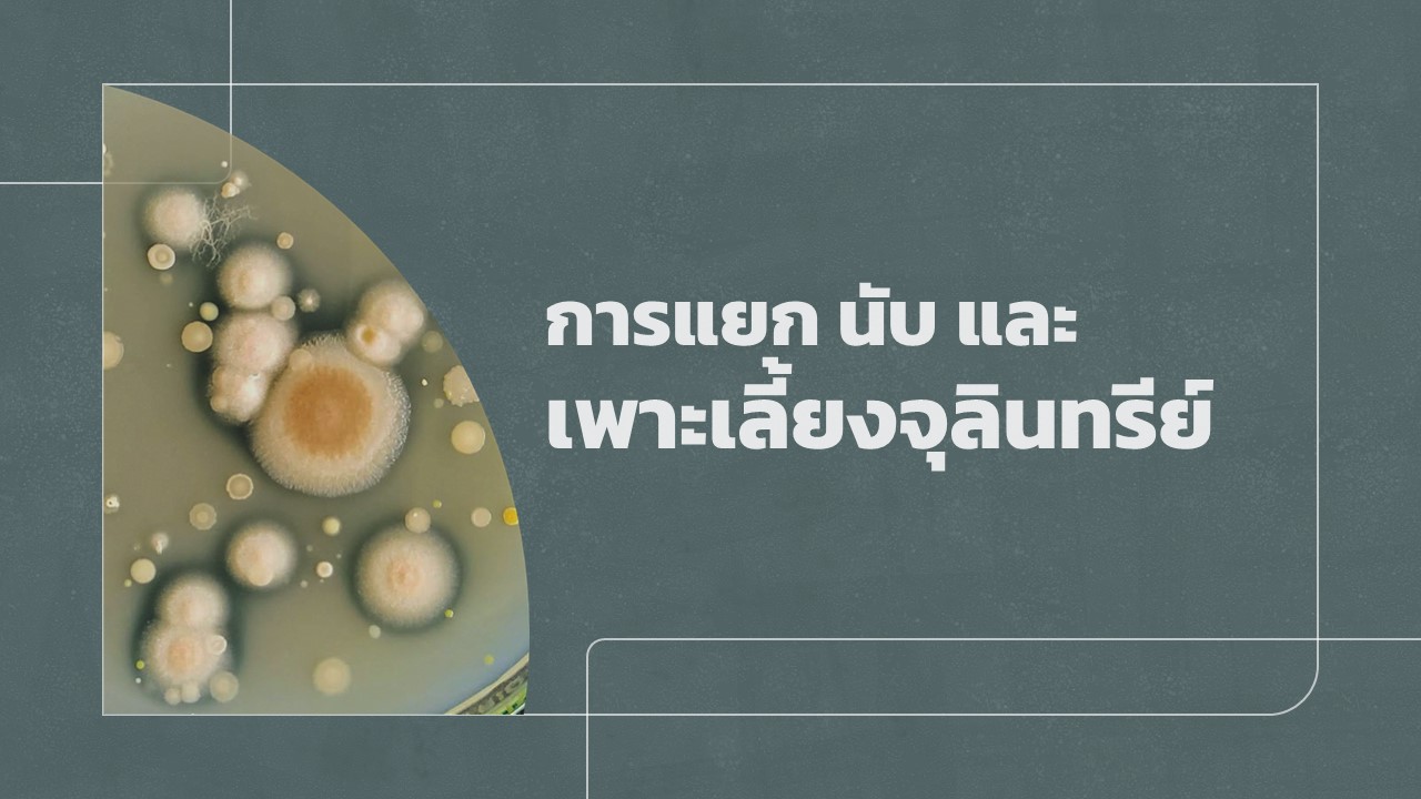 การแยก นับ และเพาะเลี้ยงจุลินทรีย์